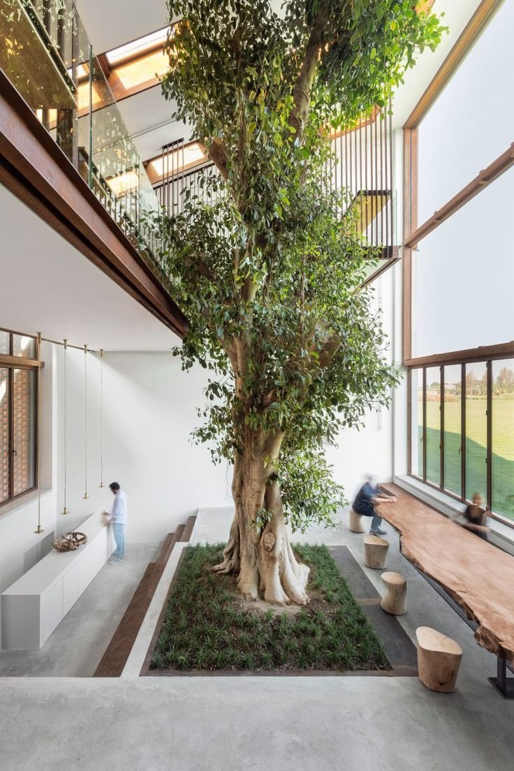  Modern house with an integrated tree in the house 