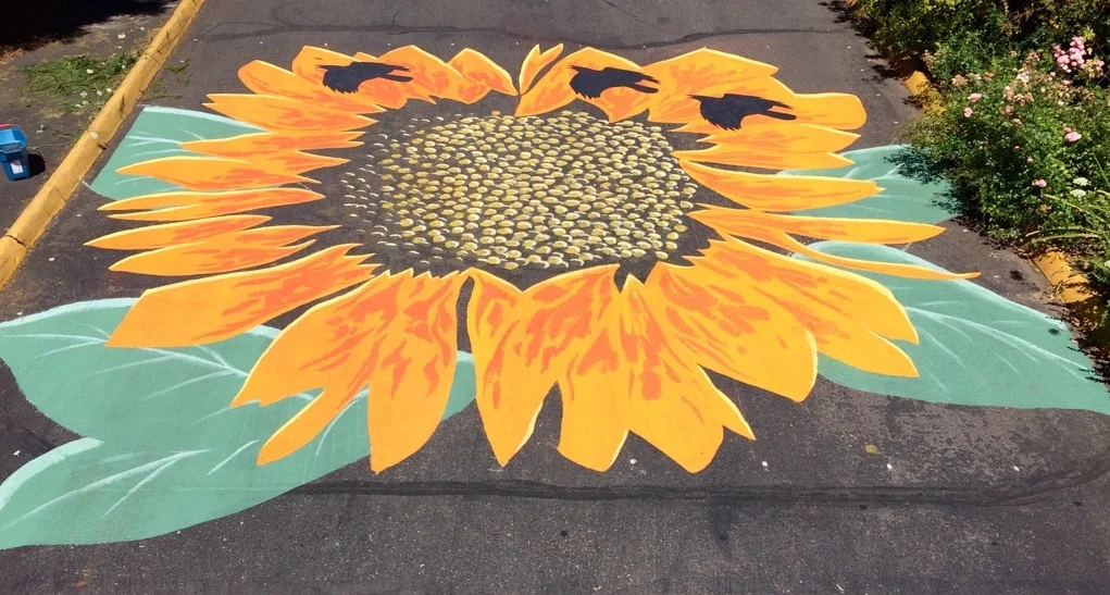 Sunflower.jpg