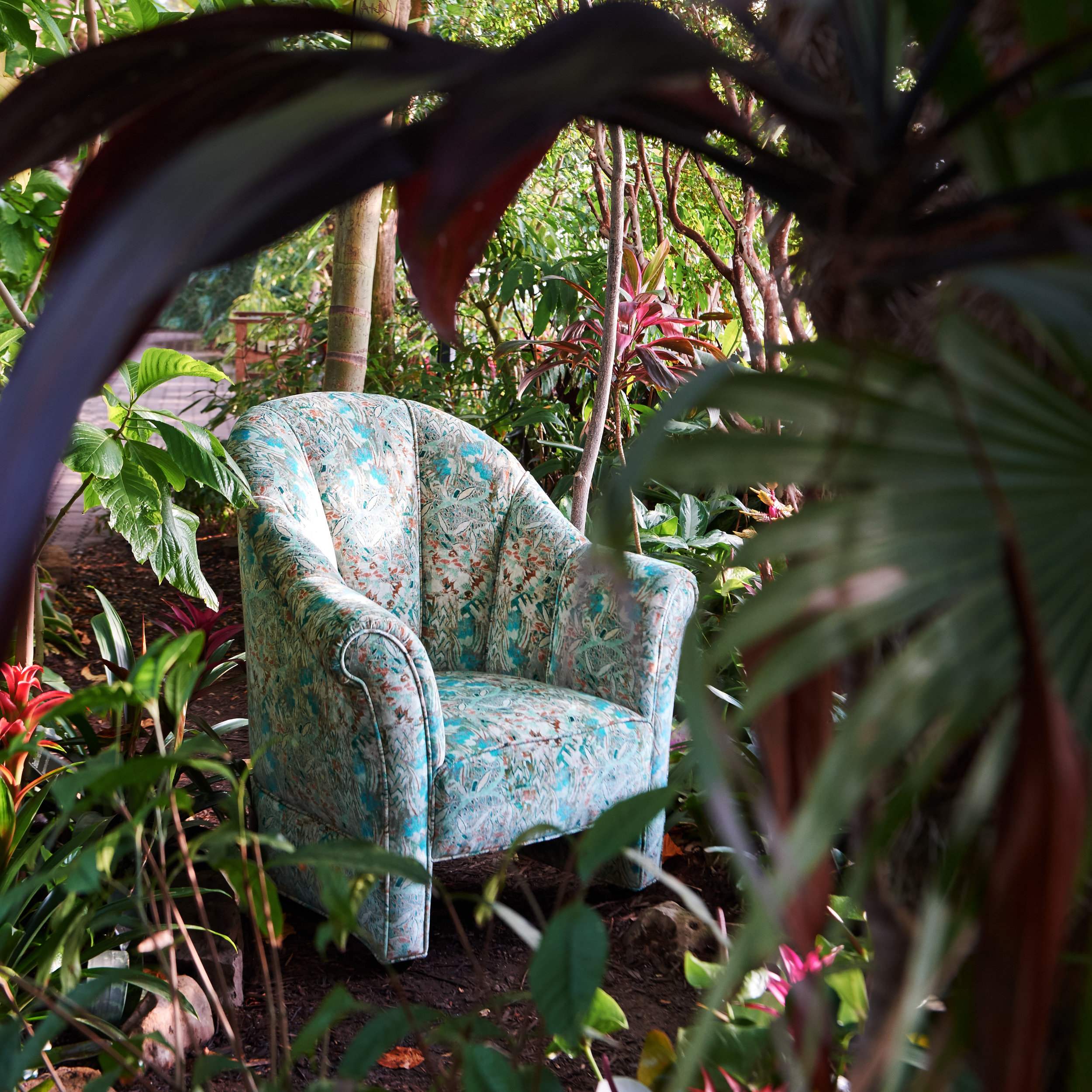 myraid garden2101.jpg