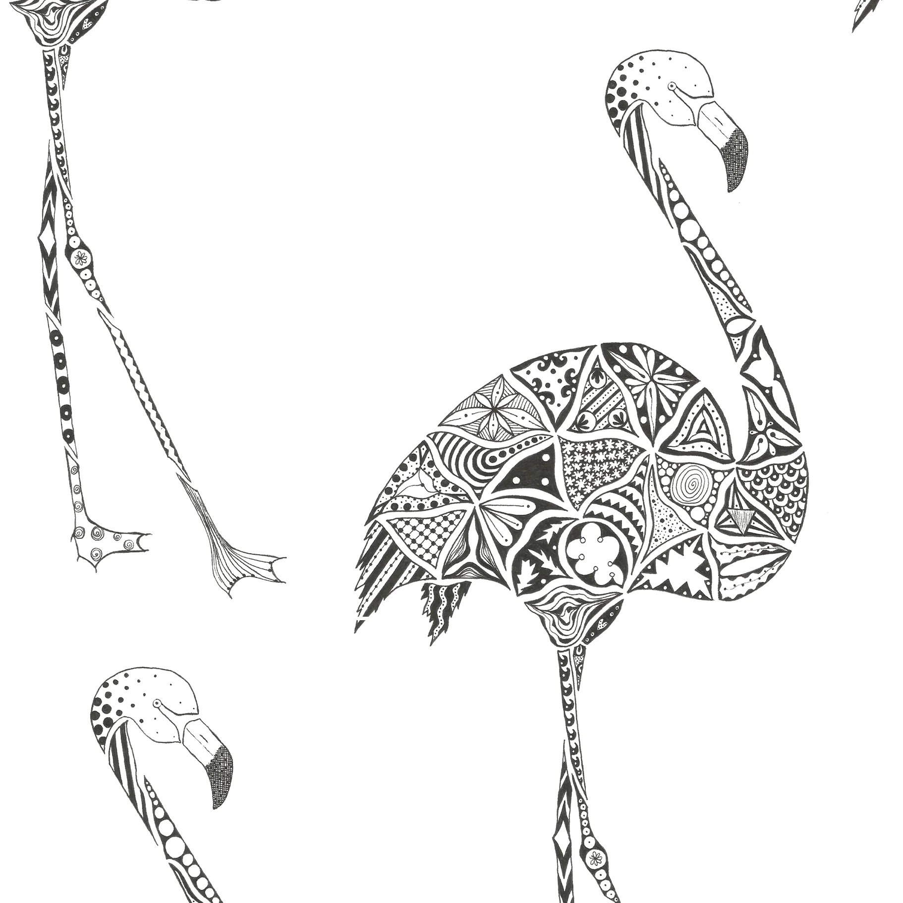Flamingo_website_detail2.jpg