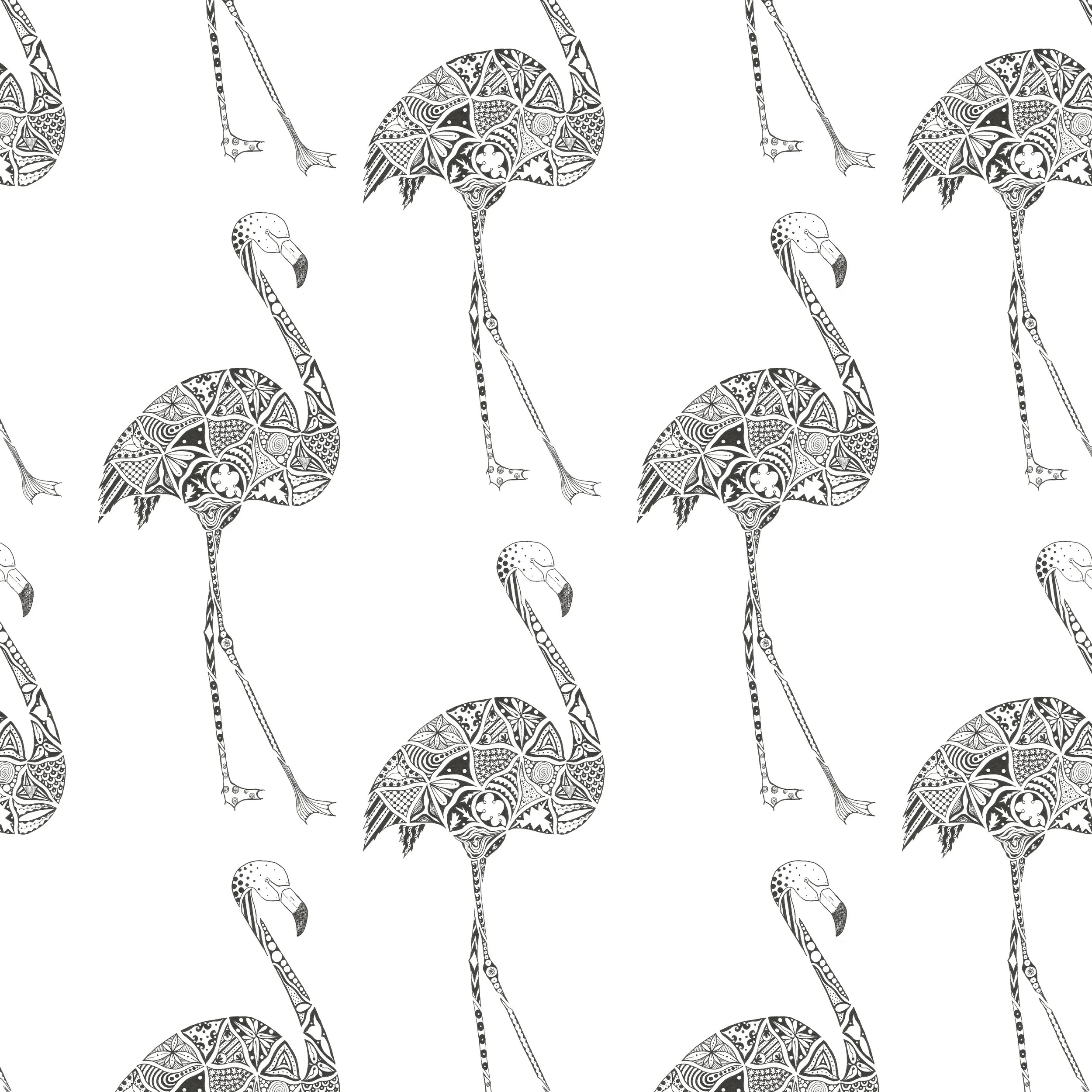 Flamingo_website_profile.jpg