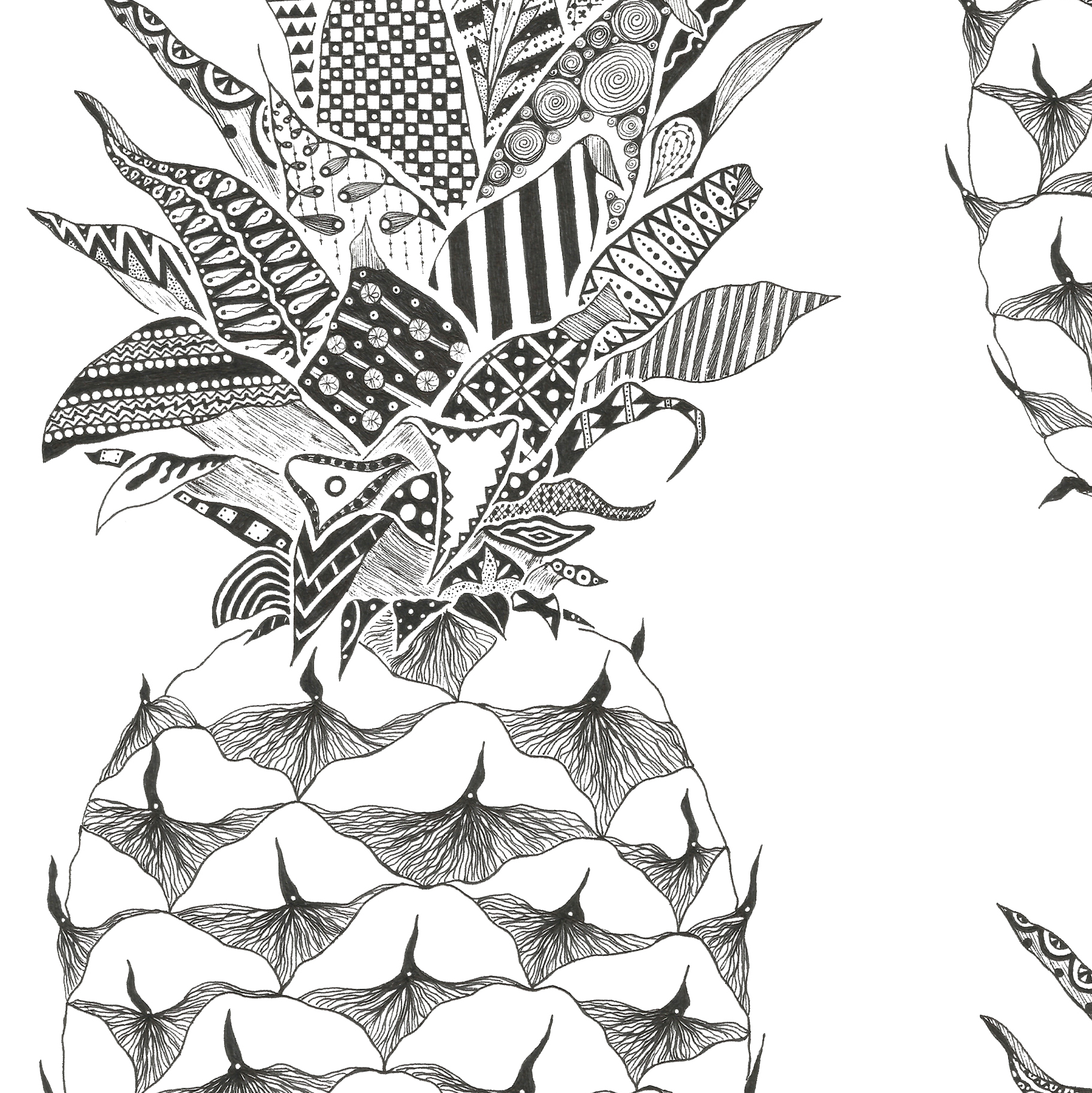 Pineapple_website_detail2.jpg