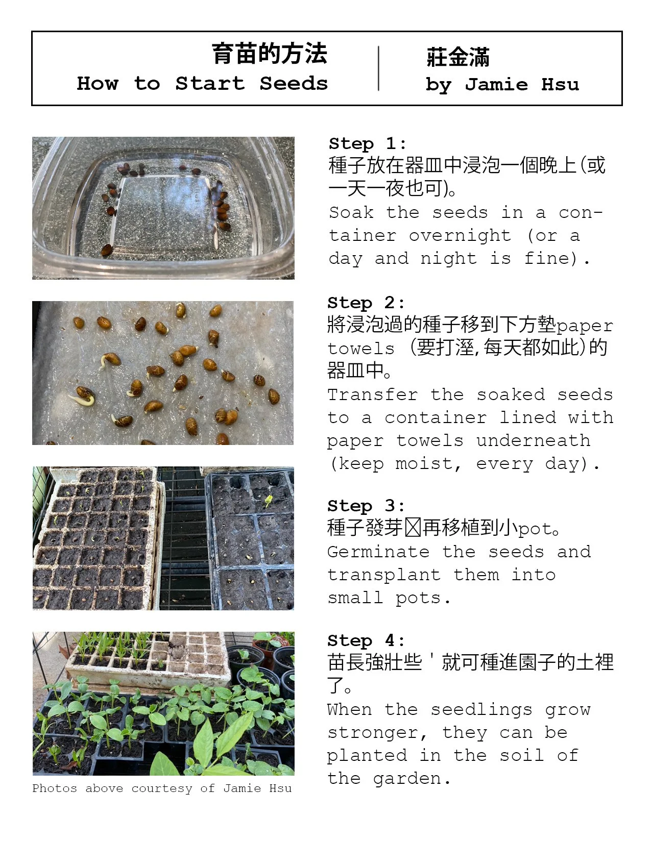  Vol. 1, p. 9 (insert) 