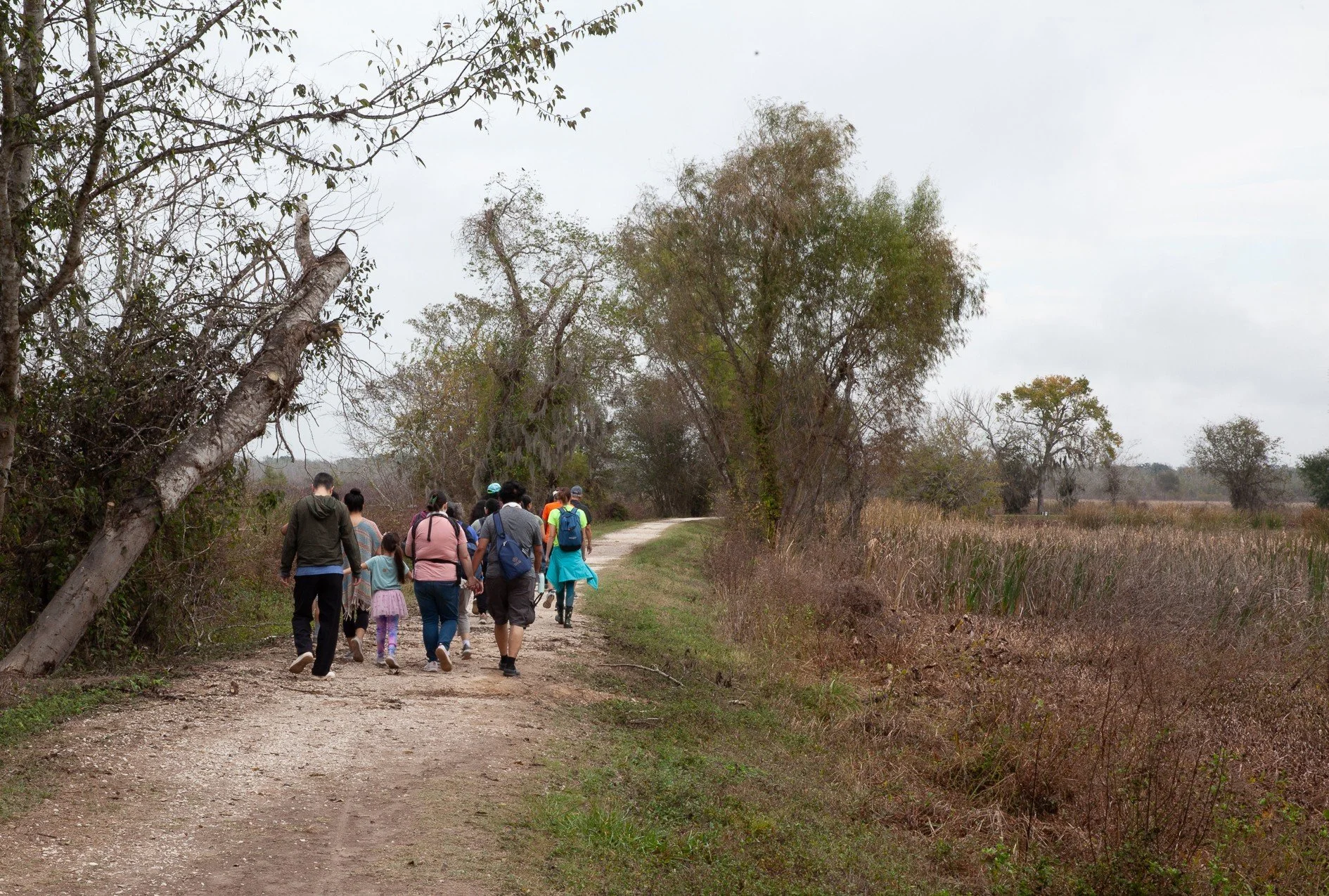  11/22/25, Brazos Bend State Park. Photo by James DeClouette 