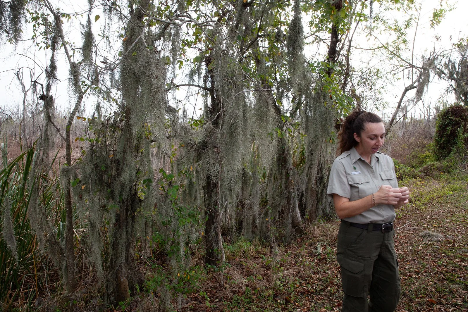  11/22/25, Brazos Bend State Park. Photo by James DeClouette 