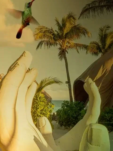 Looking forward to returning to Tulum 🇲🇽 March 6th! @vagalume_tulum @nidoibiza