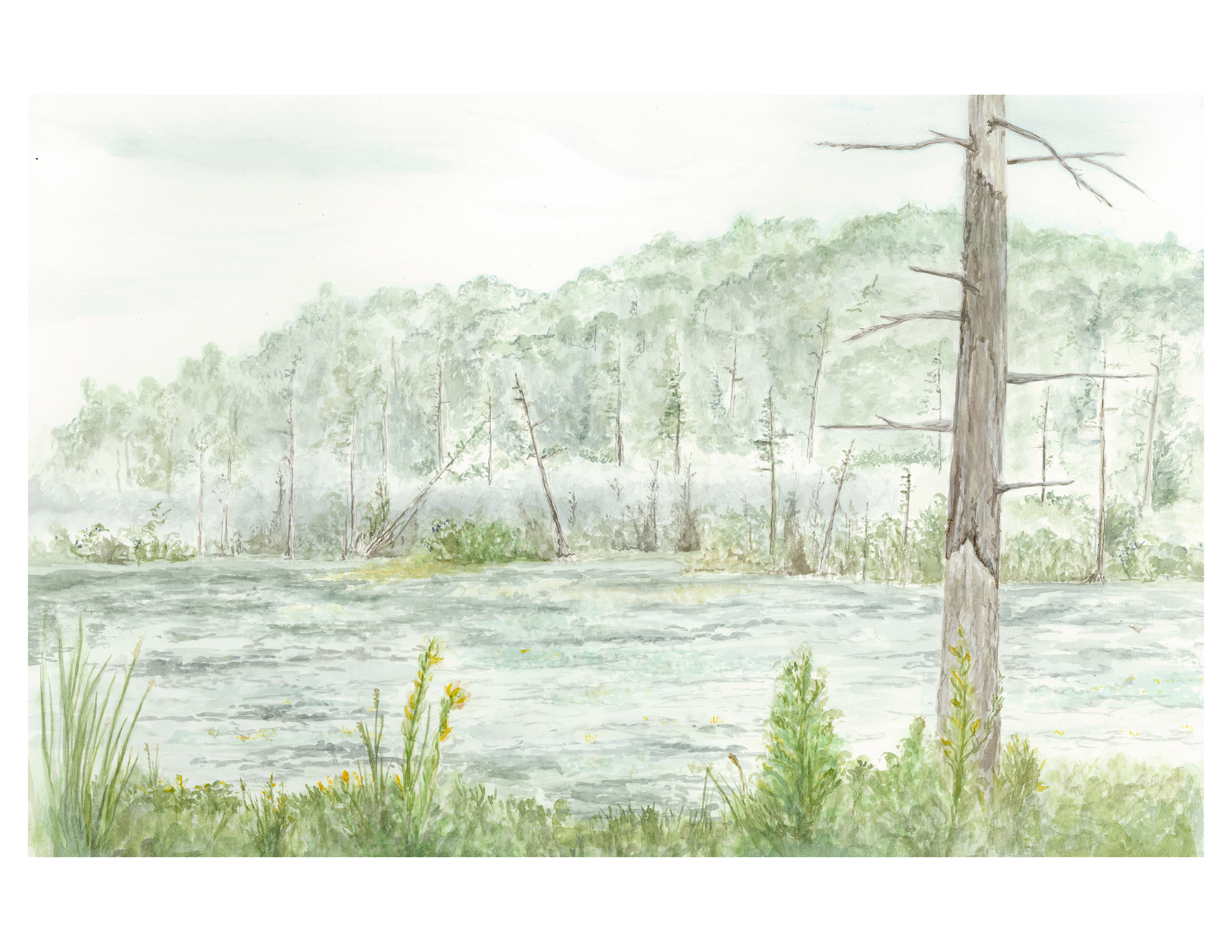 00_swamp.png