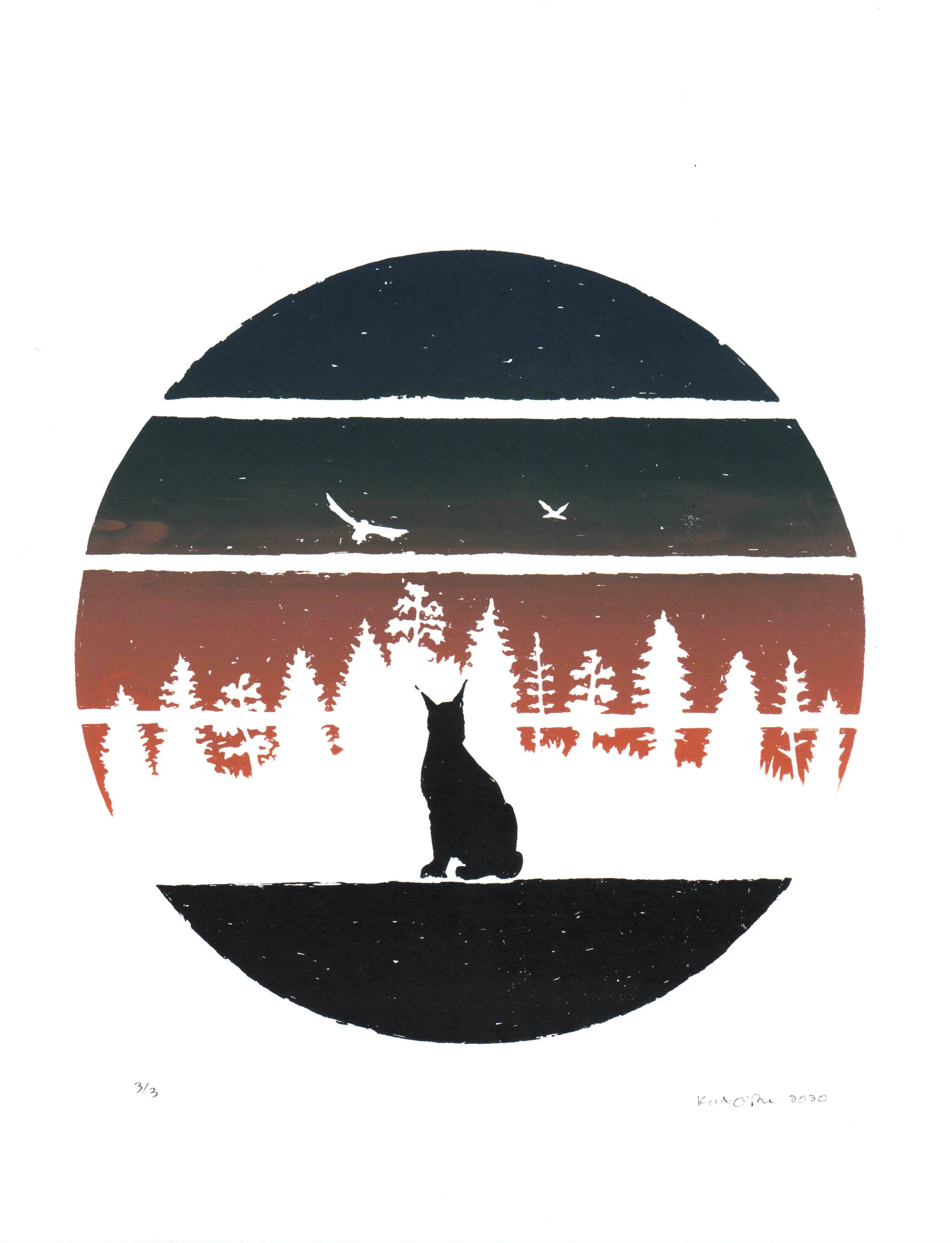 lynx dusk run 2.jpeg