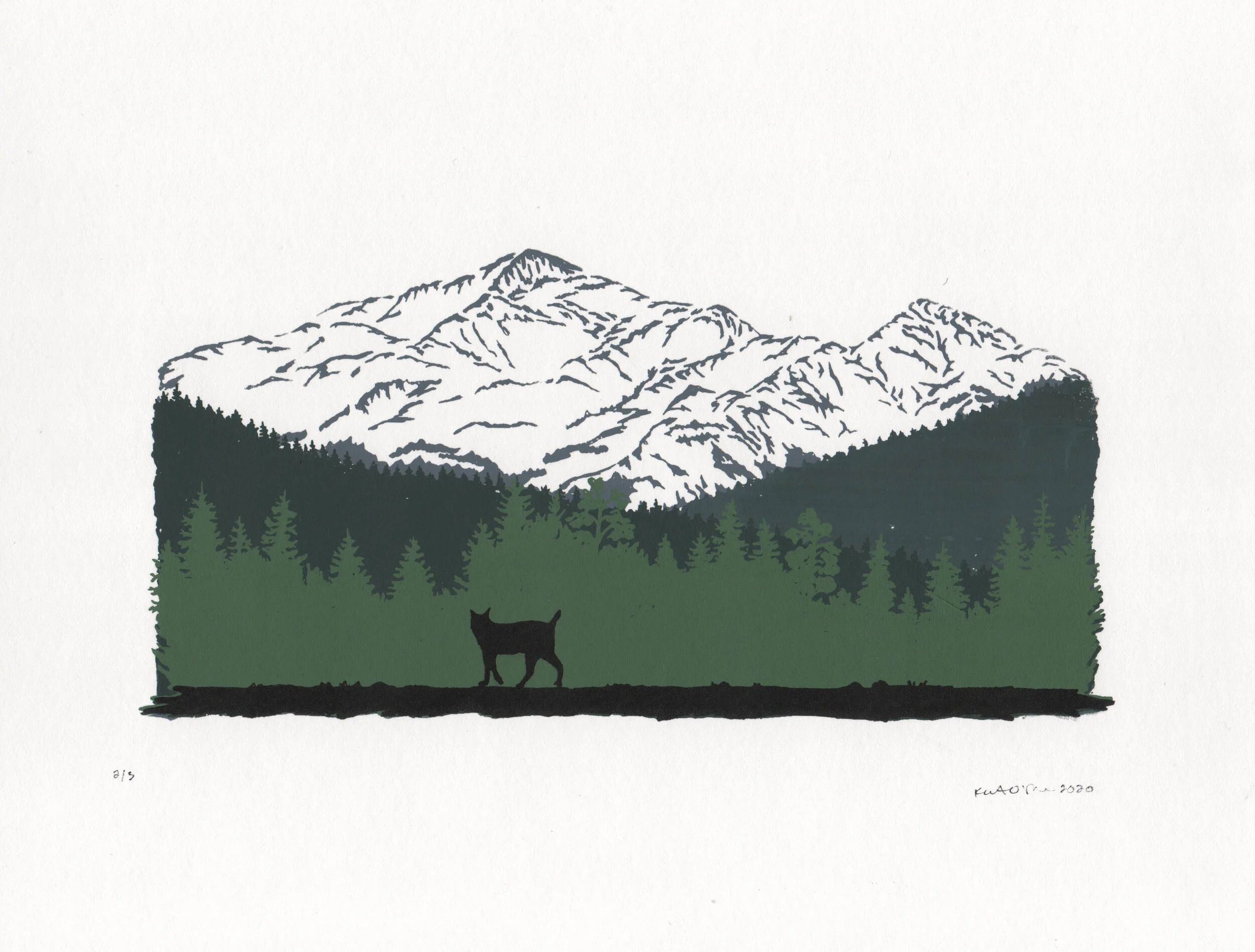 bob bear run 2 good.jpeg