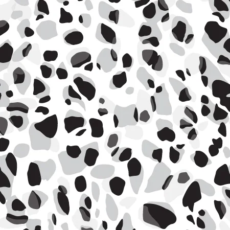 Cheetah3.jpg