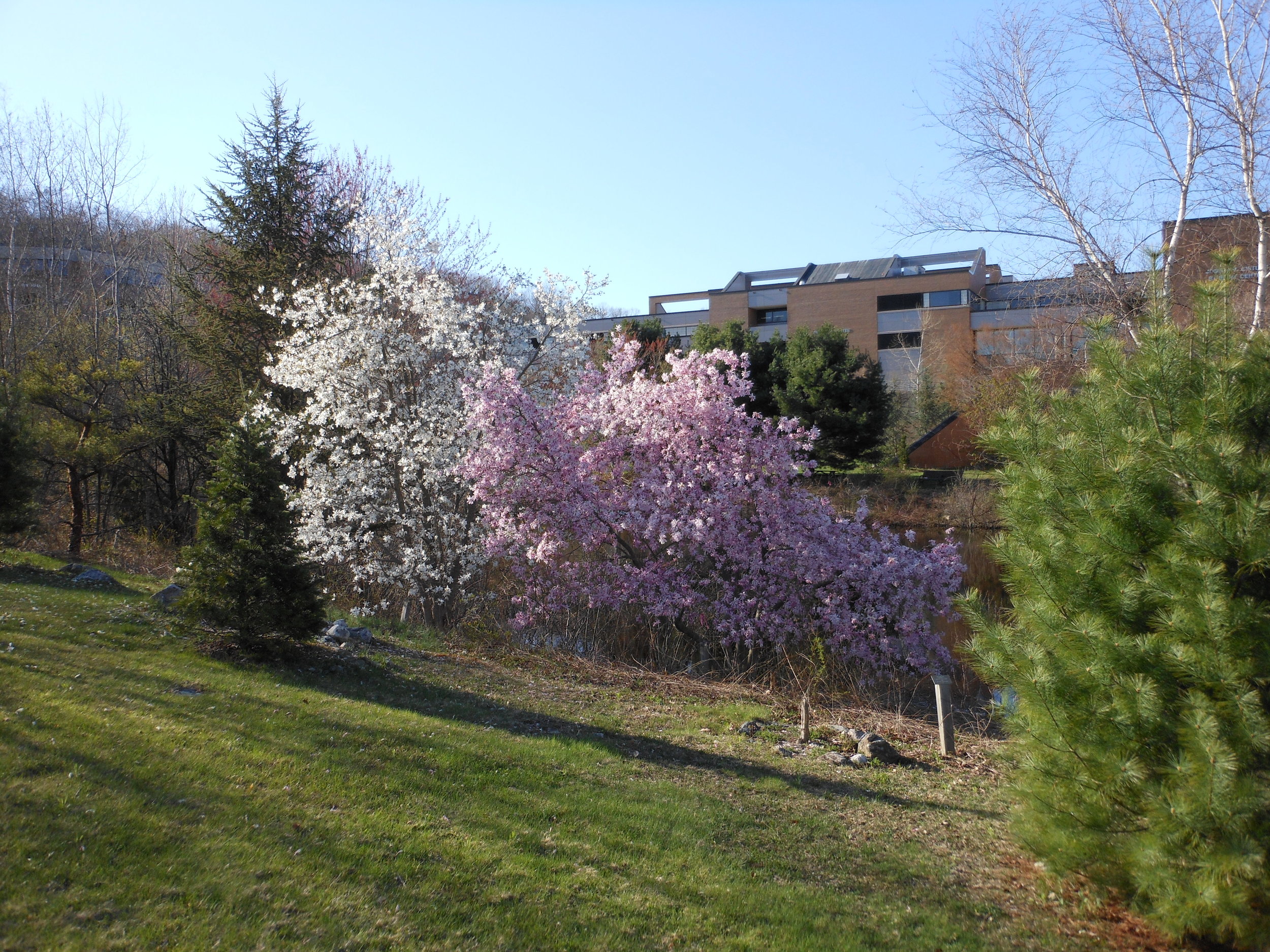 ARTS planting day 074.jpg