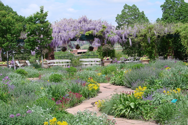 University Of Utah American Rose Trials For Sustainability