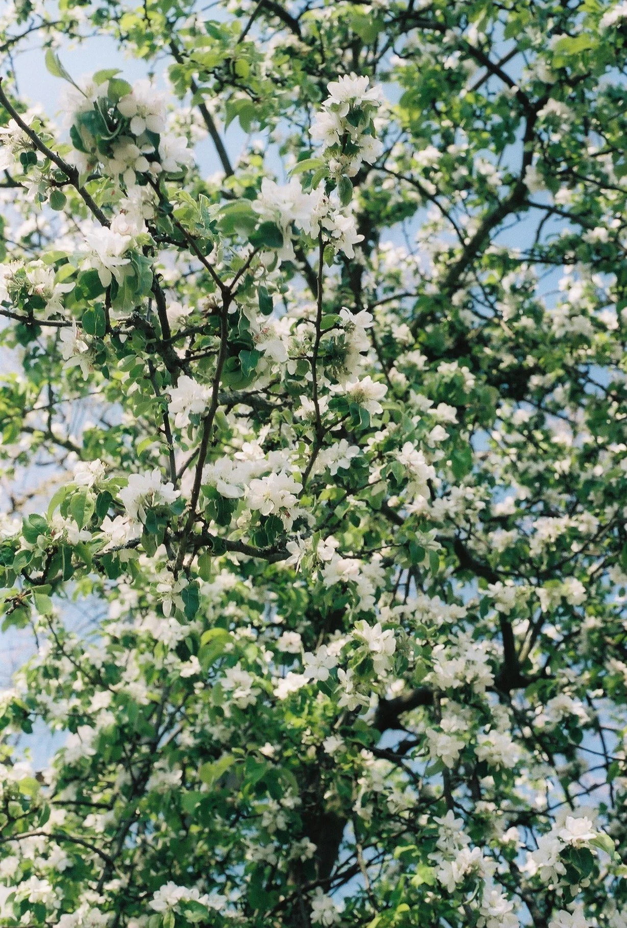 000032-Edit(1) 2.jpg