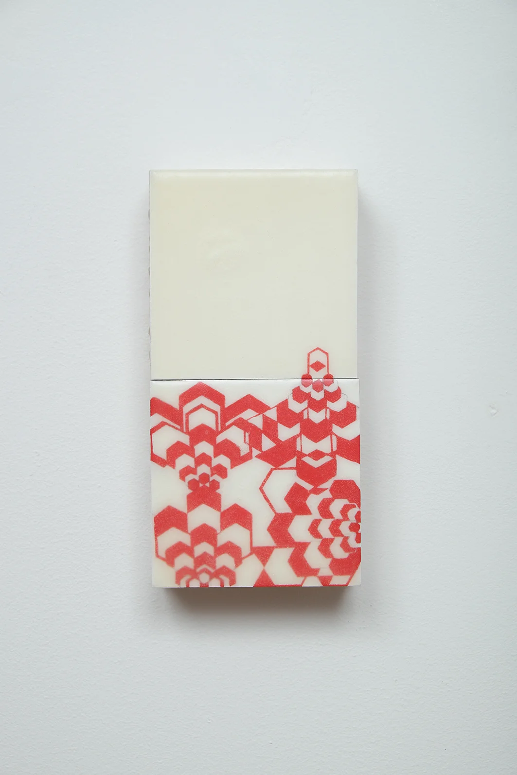 Magnitude 2012 20x10x5cm