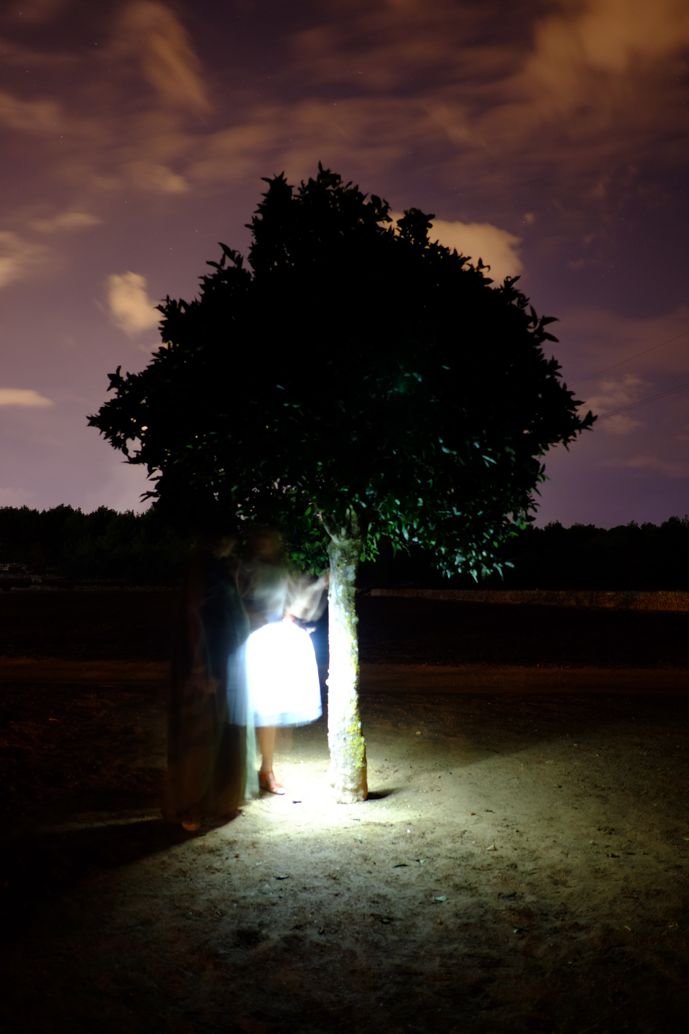 In the Orange Tree 2016 Ses Dotze Naus Ibiza, Spain.