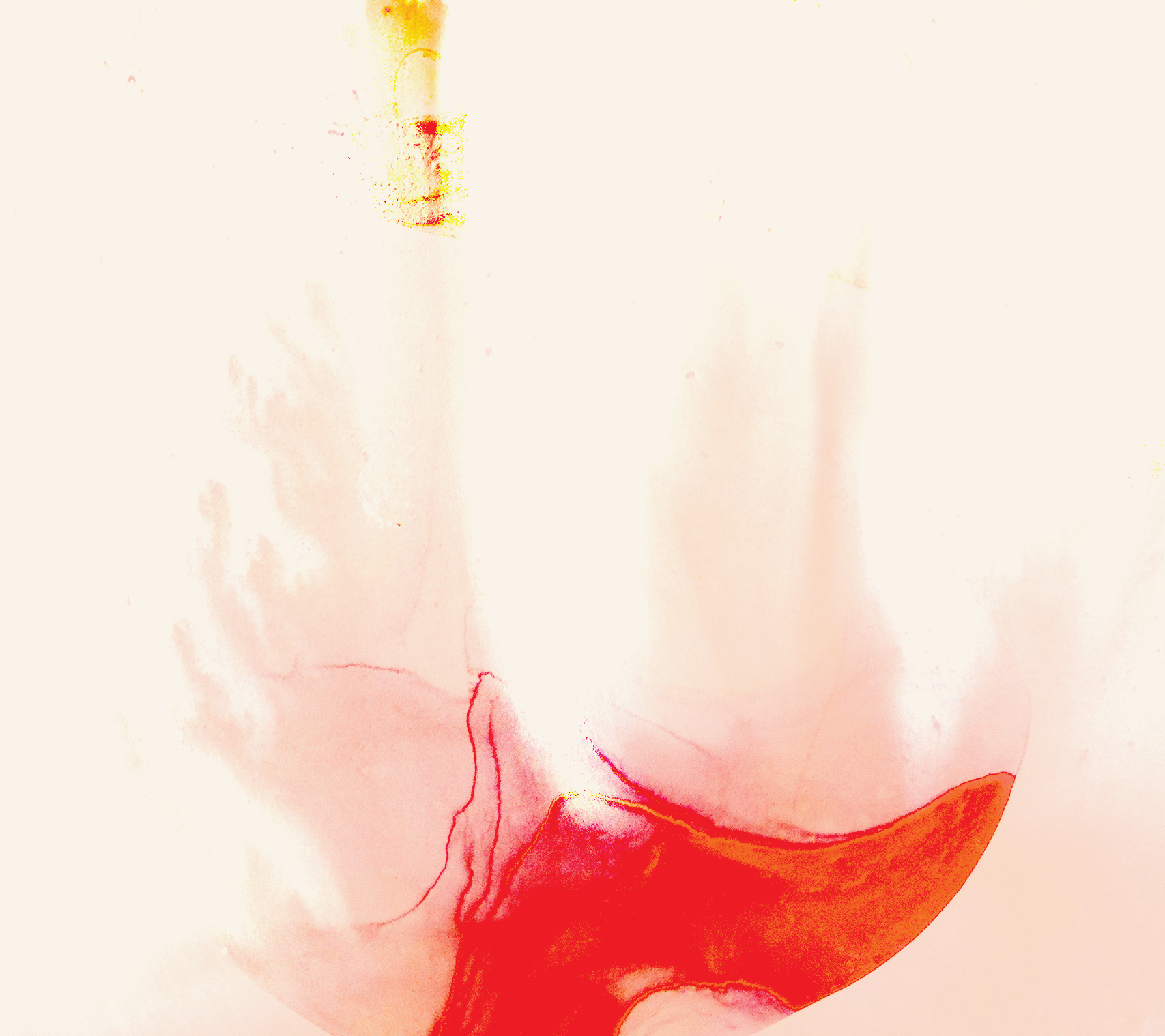 Image 1.png
