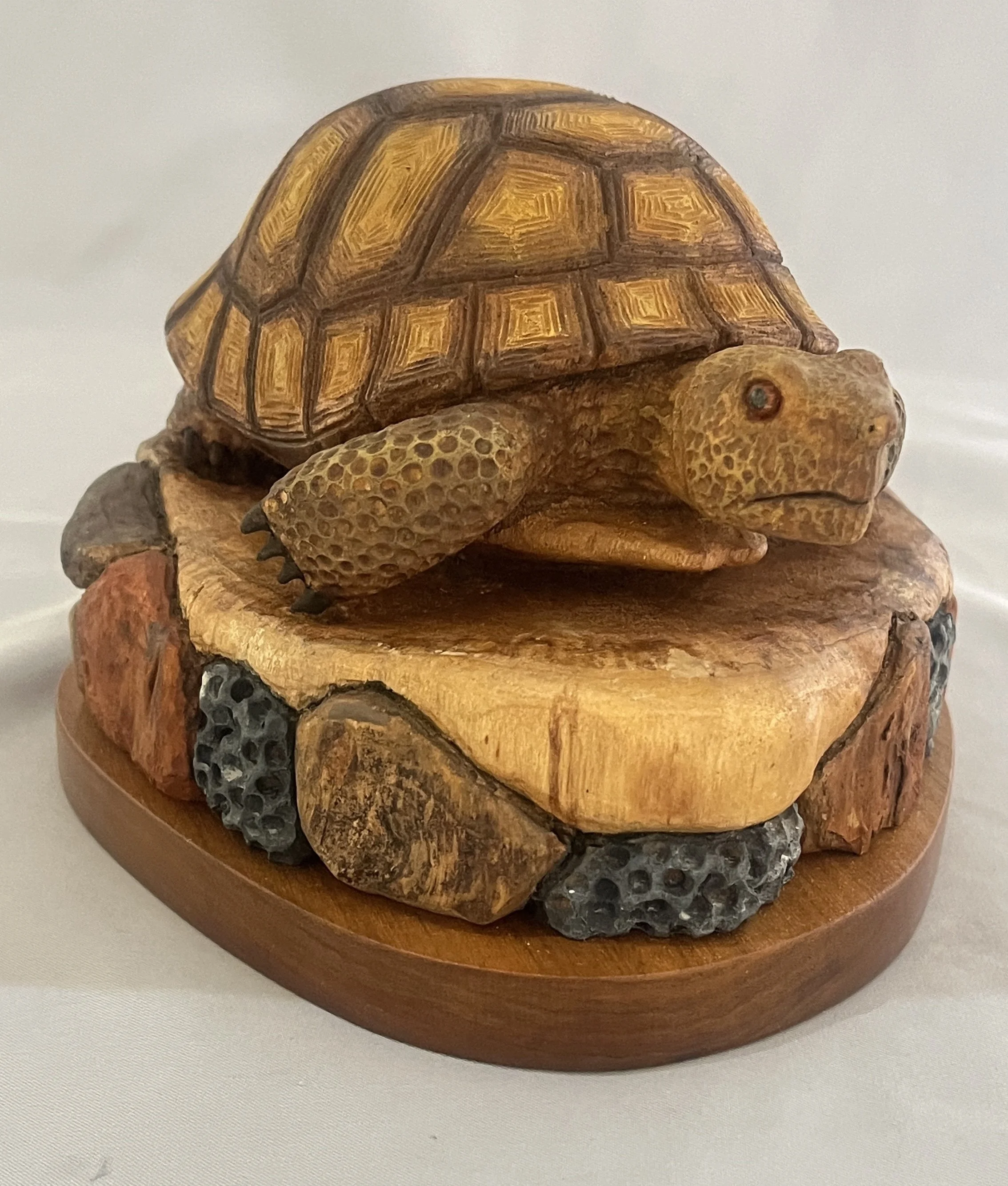 tortoise 1.jpg