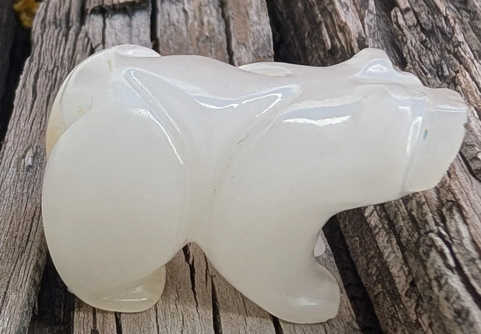 really white bear.jpg