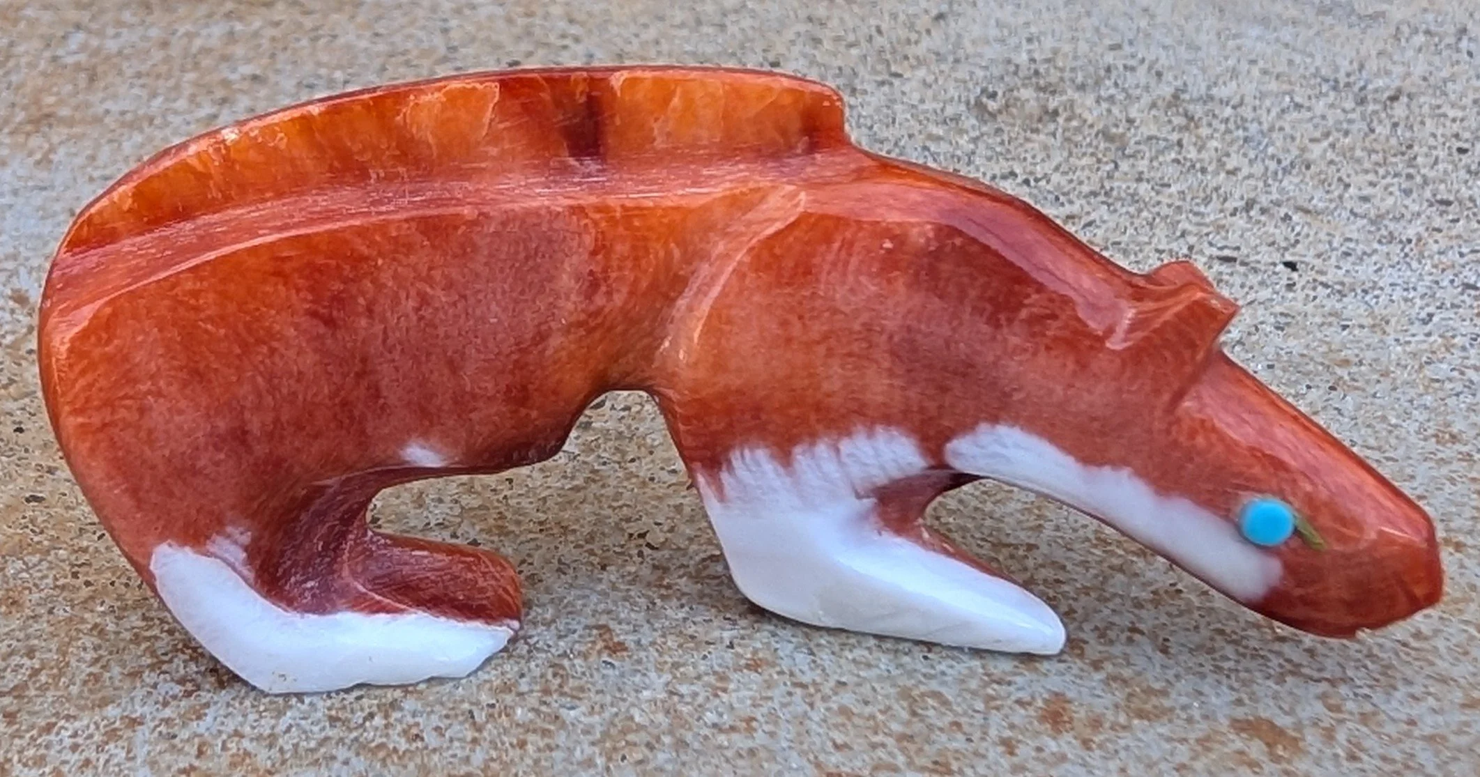 spiny mt lion 1.jpg