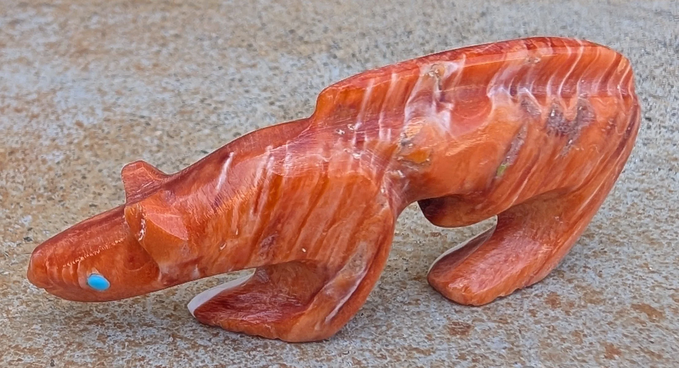 spiny mt lion 2.jpg