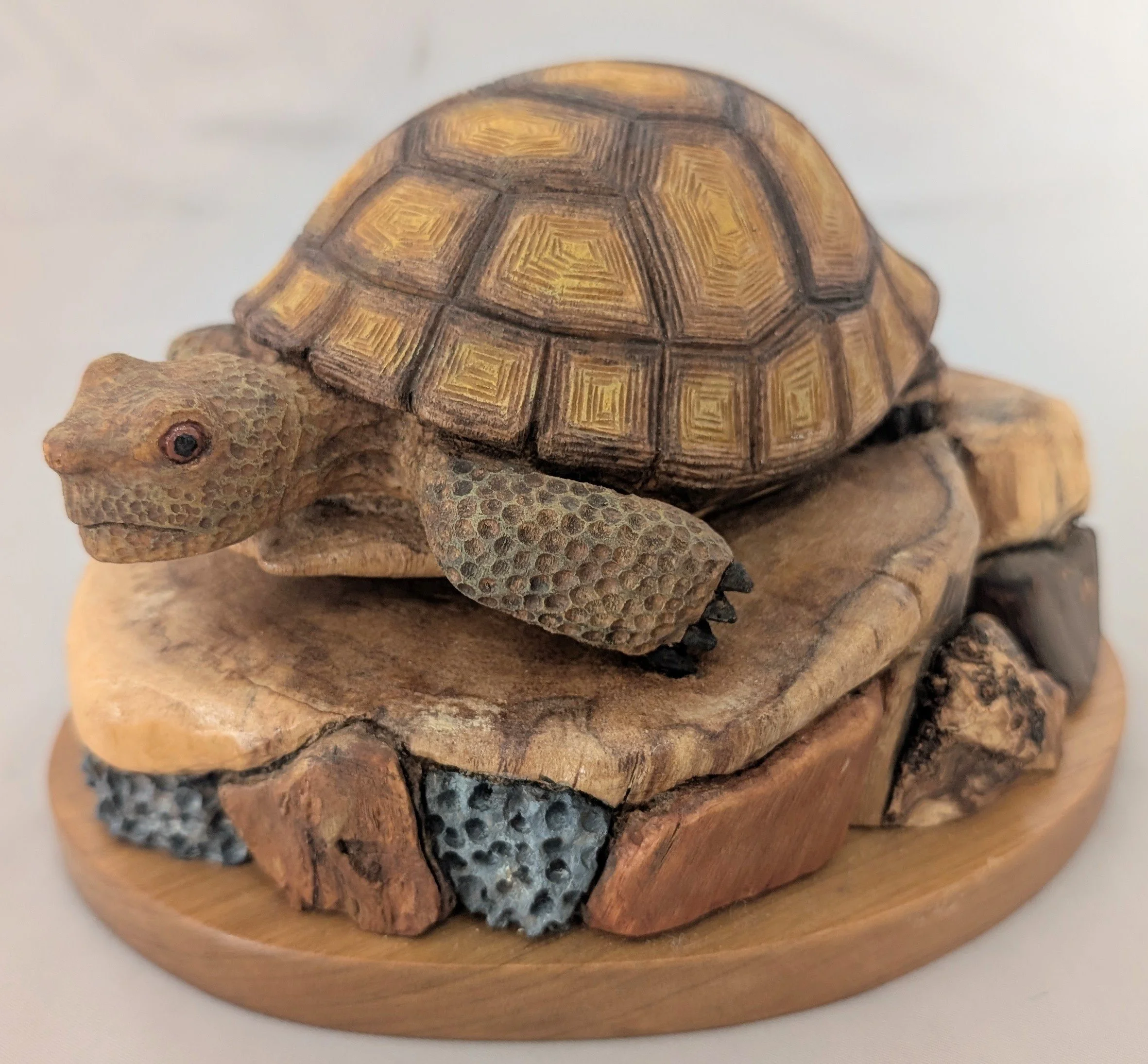 desert tort.jpg