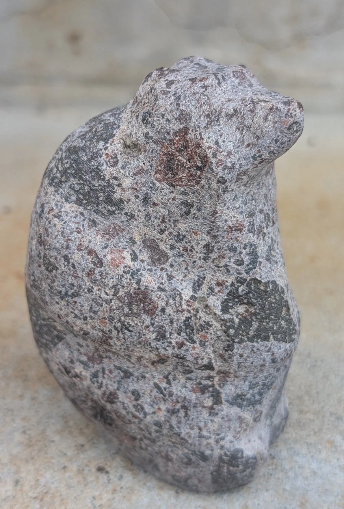 wr sitting bear.jpg