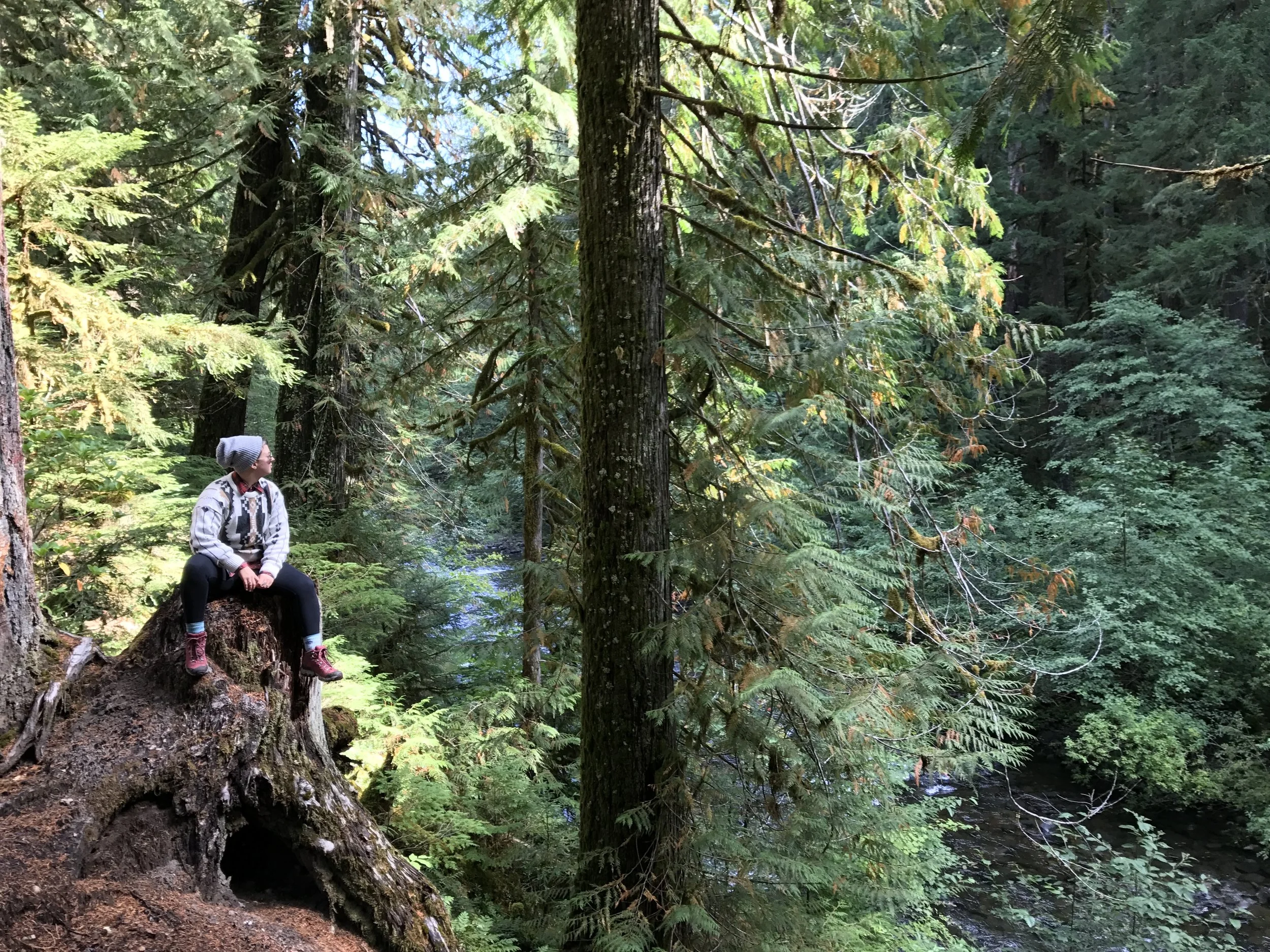 Video Recap: First Trip to the PNW! 