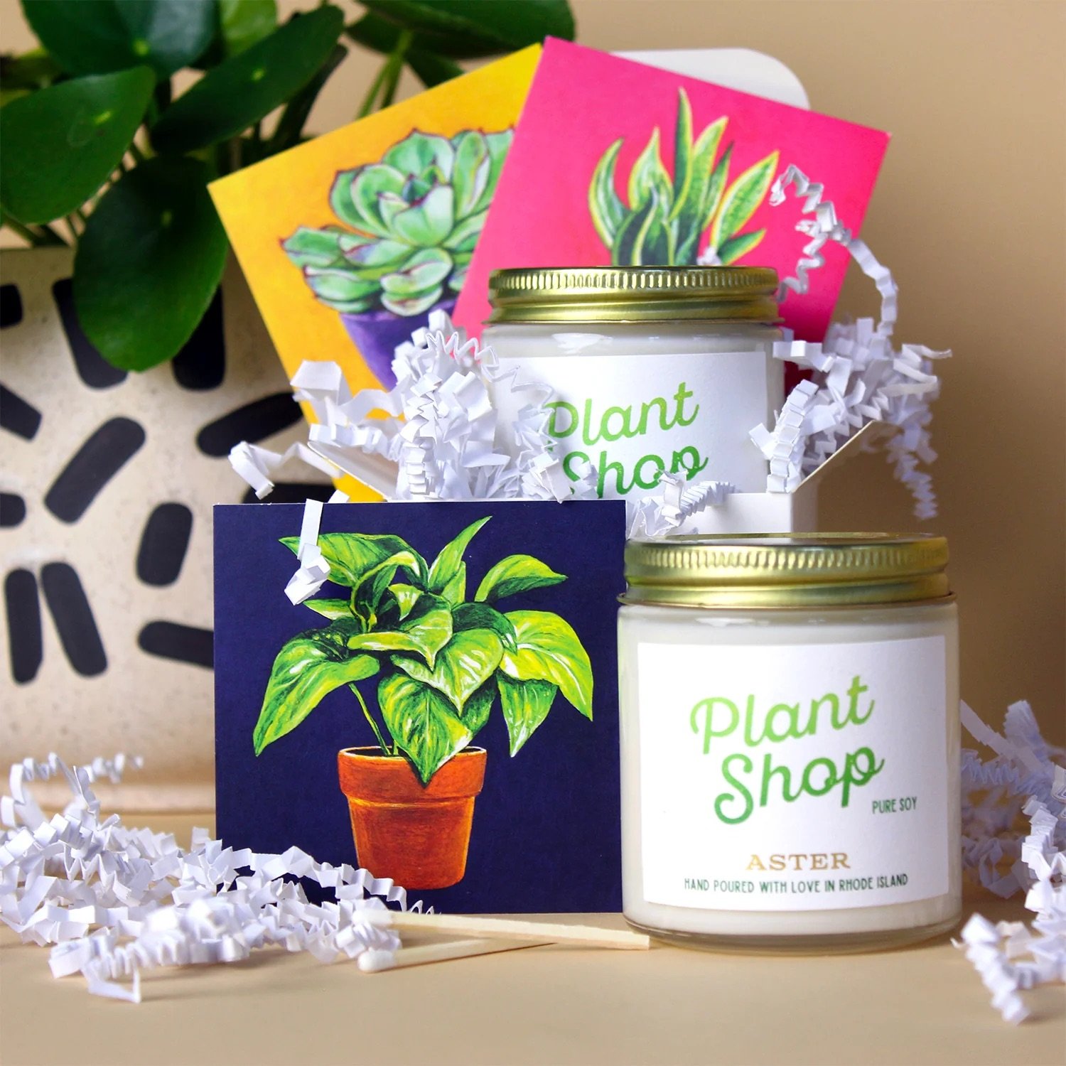 Plant Shop Illustrations