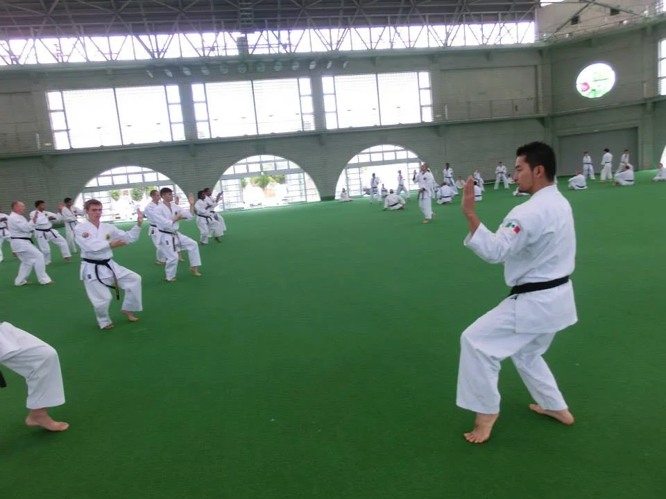 2012 okinawa seminar 02.jpg