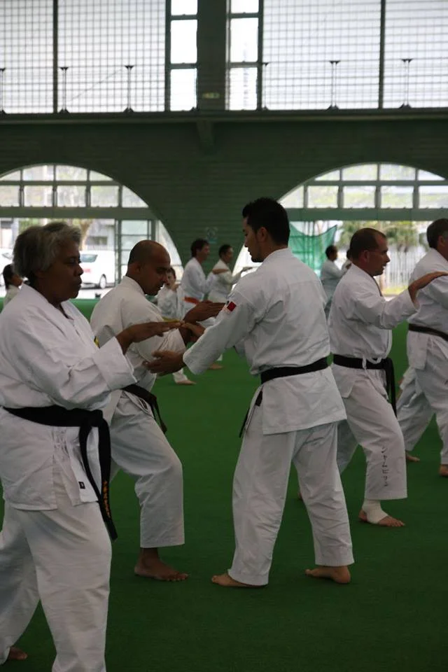 2012 okinawa Seminar.jpg