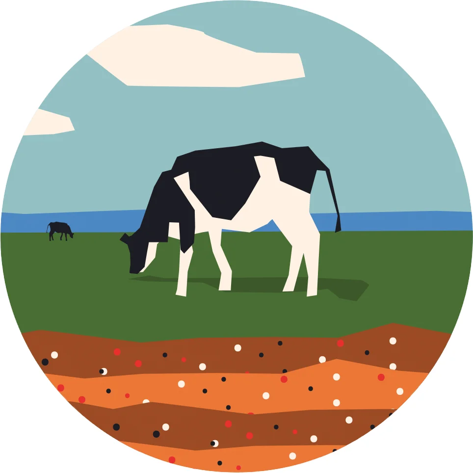 Low-Carbon Beef The Perennial’s beef supplier, Stemple Creek Ranch, captures and sequesters atmospheric carbon—by growing plants. The ranch spreads a 1/2-inch layer of compost over farmland, which increases growth, helping the plants pull more carbon from the atmosphere. Good grass is given enough time to grow deep, while cattle graze on invasive species—sequestering even more carbon.