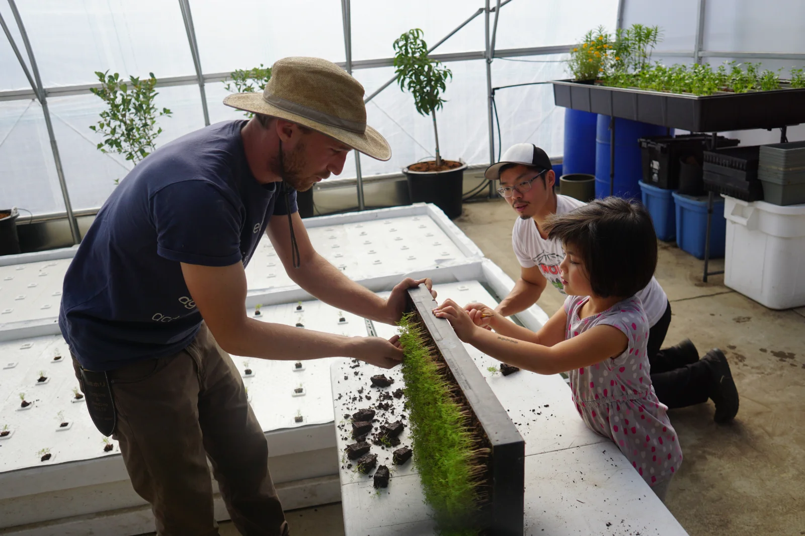 Nathan also works as a youth educator teaching kids about agriculture. Here, he shows how to remove dill seedlings to transplant to a deepwater culture bed.