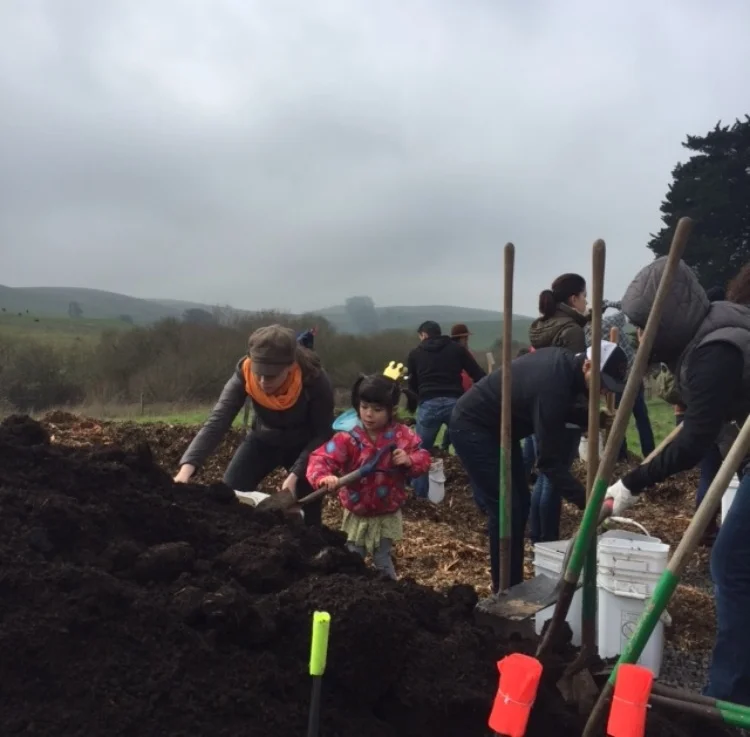 Filling buckets of compost to plant with the redwoods. The sun came out a little later.