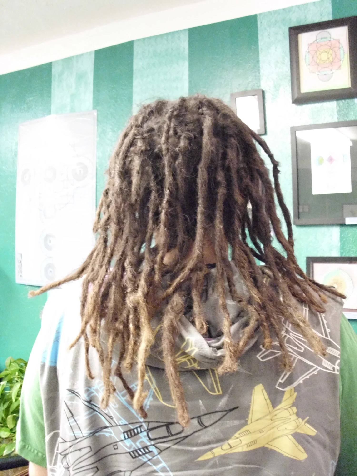 Organic Dreads