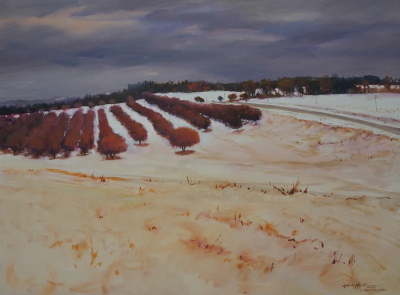 winter orchard 30 x 40 oil S O L D