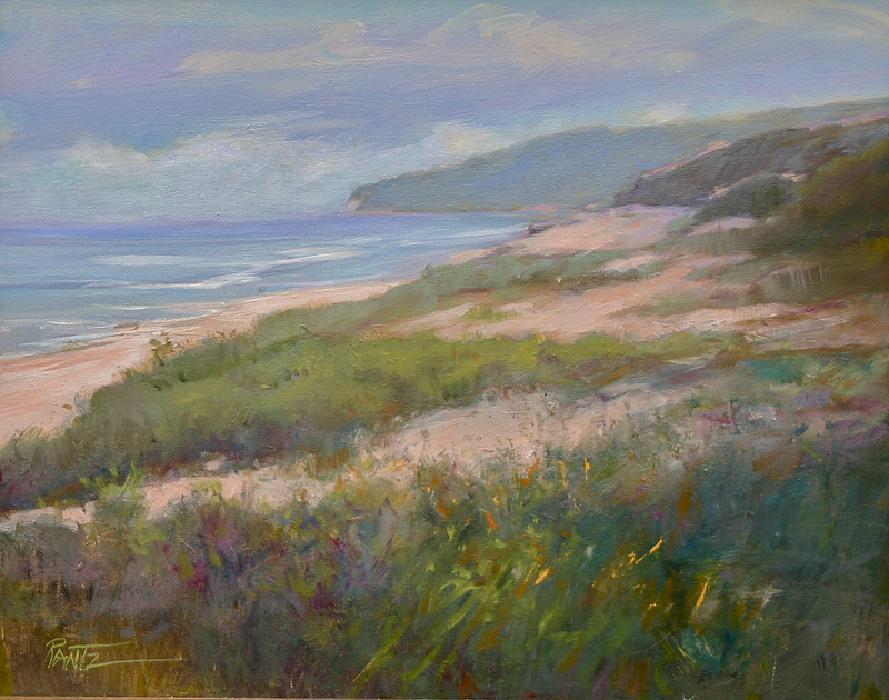 misty dunes