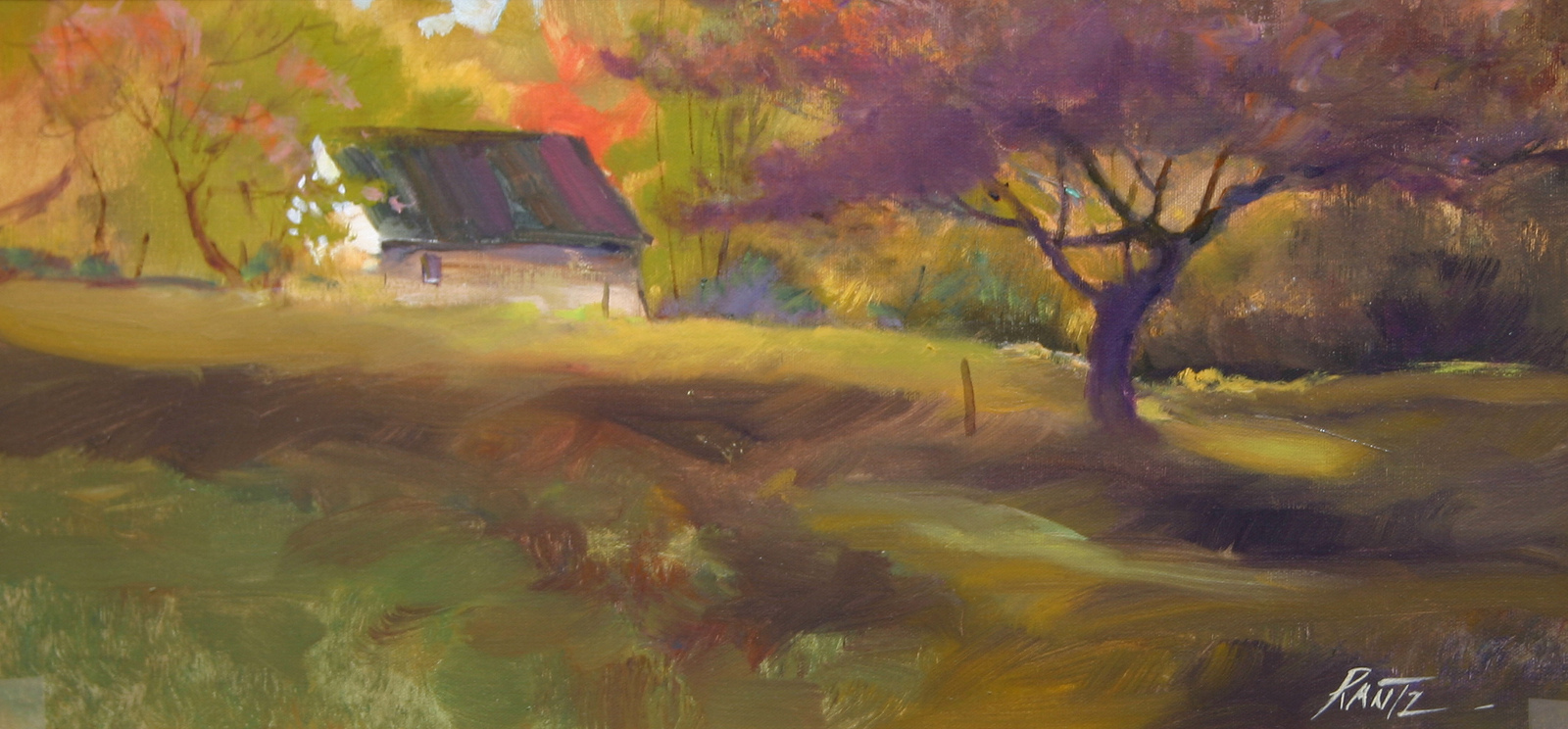 autumn tree and shed 12 x 24 oil on canvas