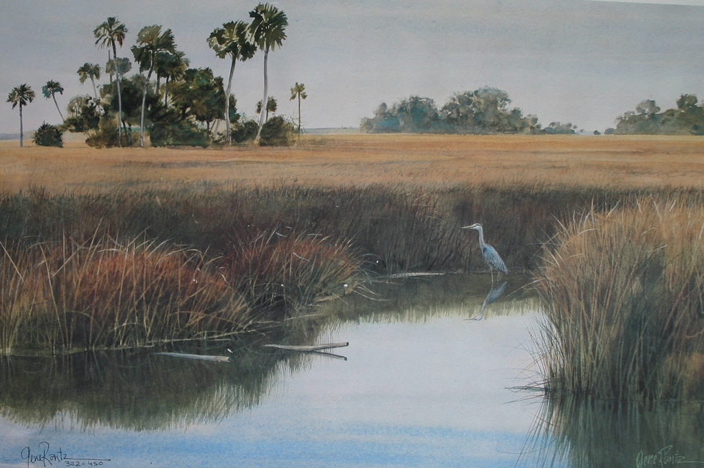 heron in sawgrass 13 x 19.5 Litho limited edition print