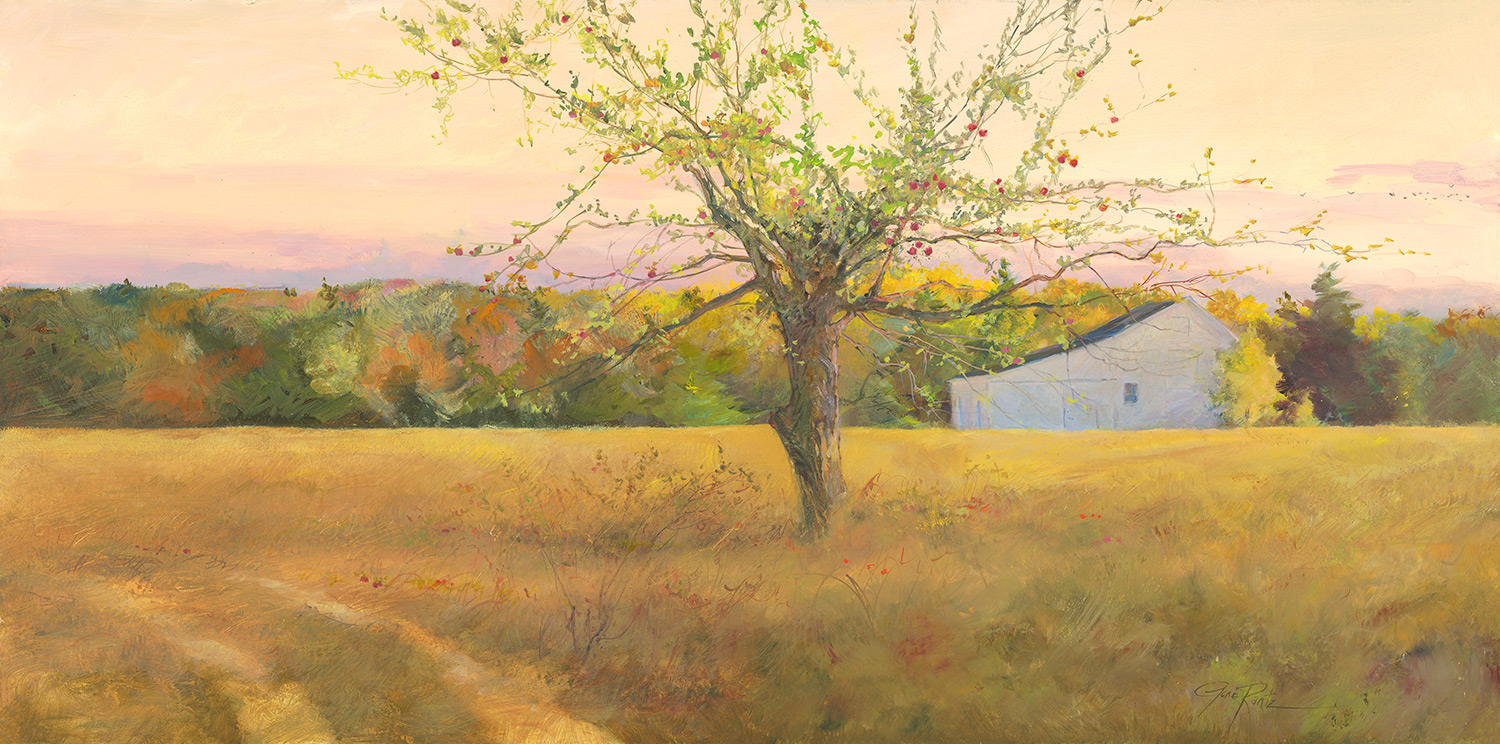 Old apple tree