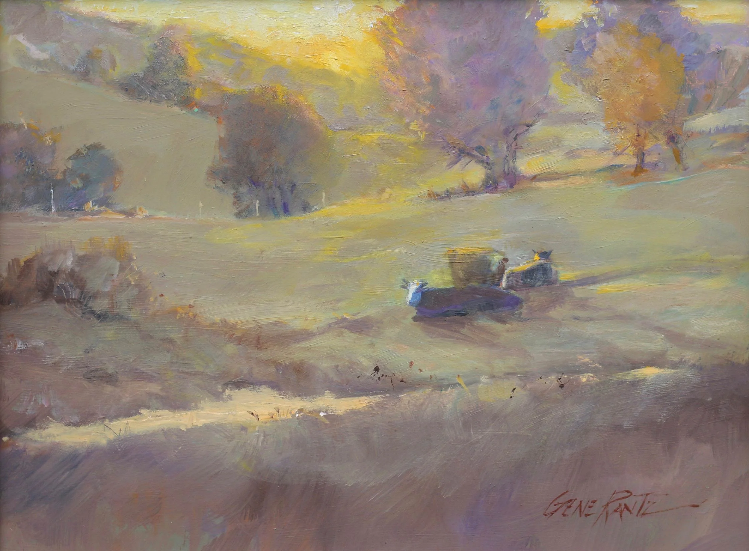 Resting Cattle, Evening Sun 12 x 16 Oil on Masonite