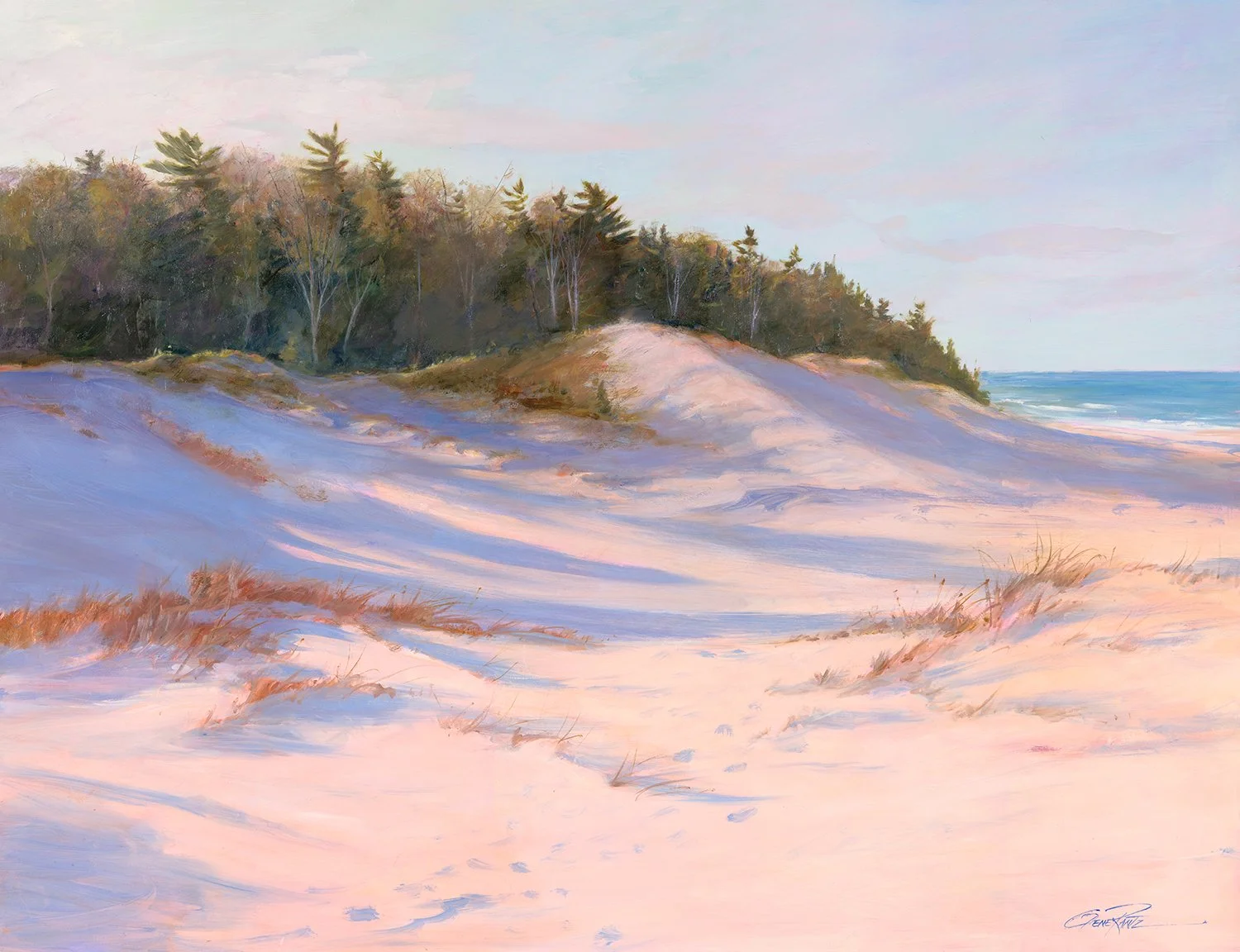 CAT DUNE .jpg