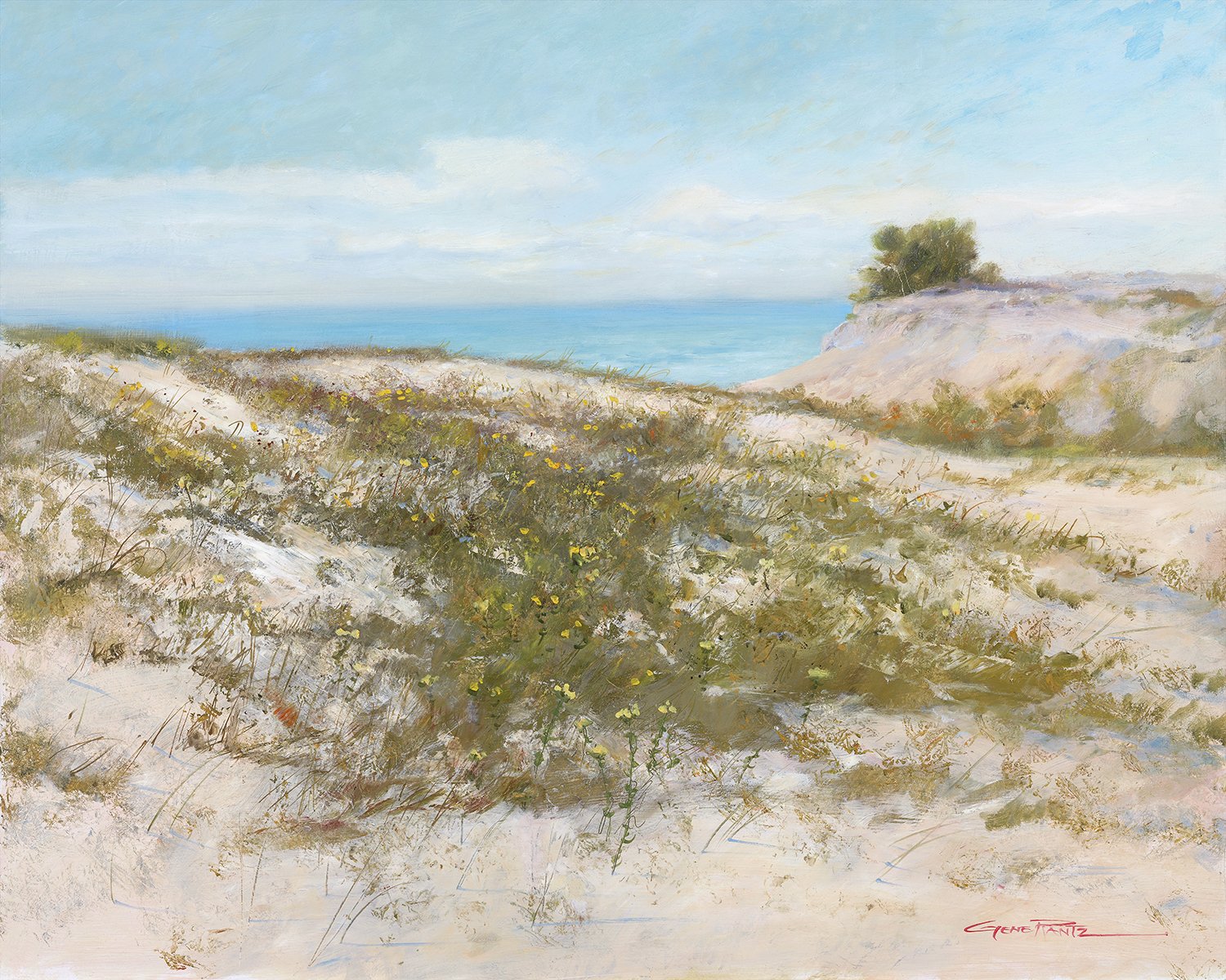 from atop dune1.jpg
