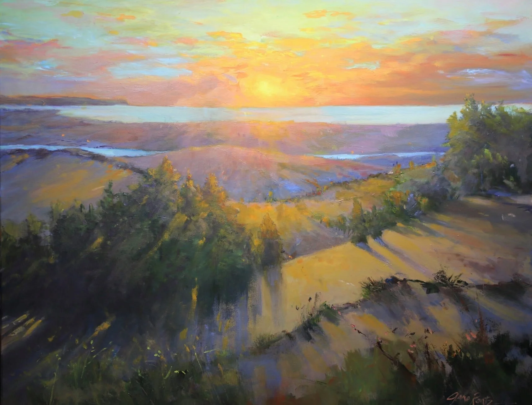 Searching for Judy - Dune Country .jpeg