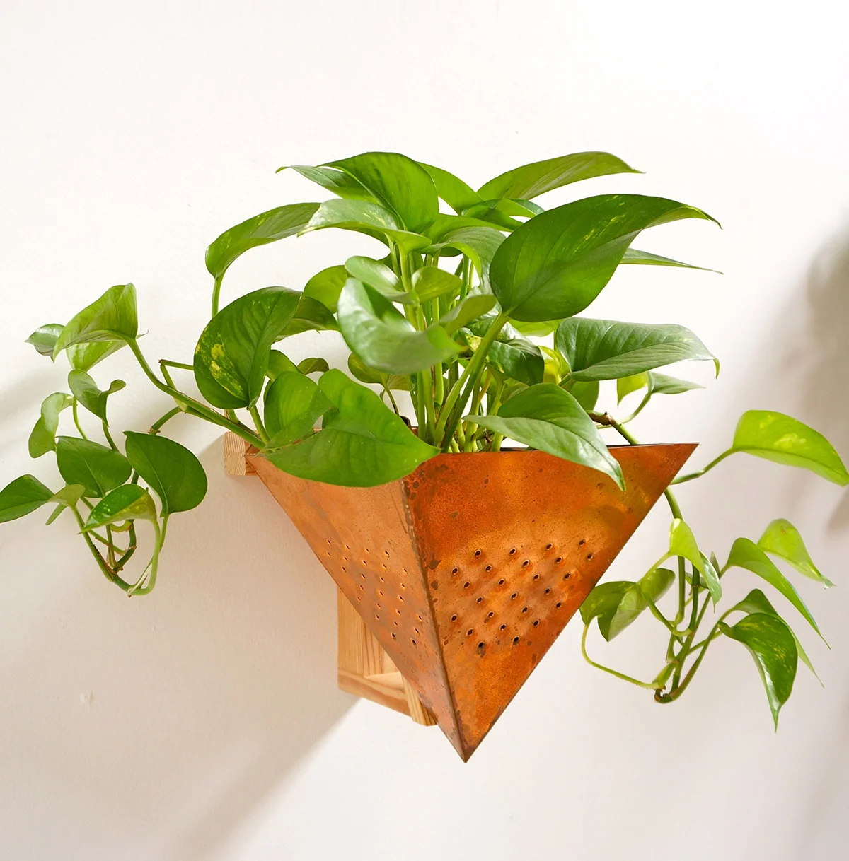 Single Copper Vessel