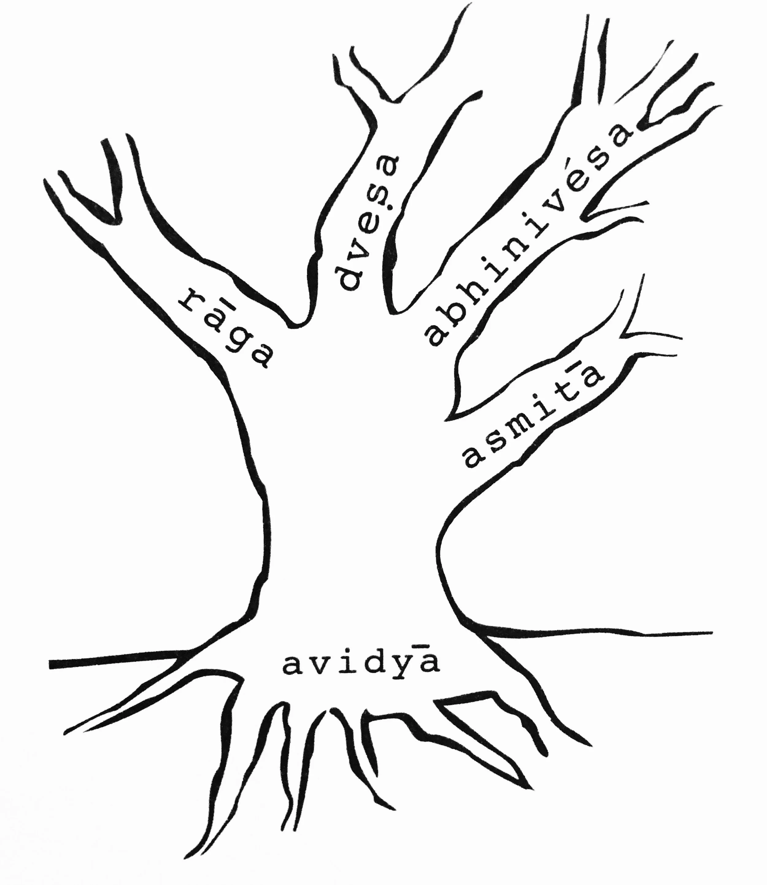 Illustration of the kleshas from TKV Desikachar's The Heart of Yoga