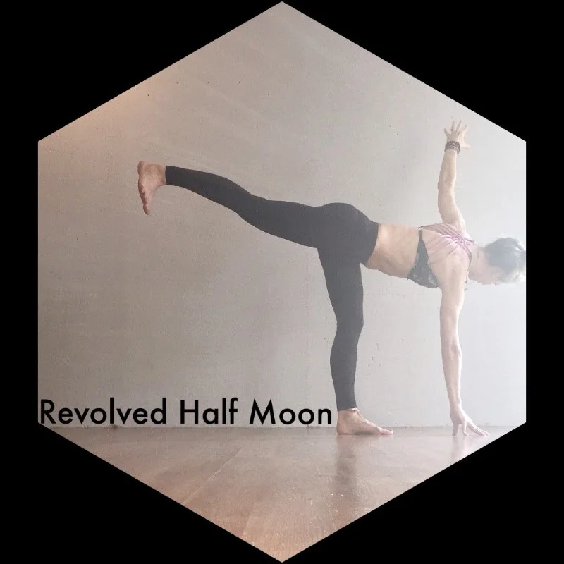 Downward Facing Dog, "Adho Mukha Svanasana"