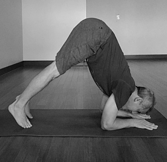 Dolphin Pose