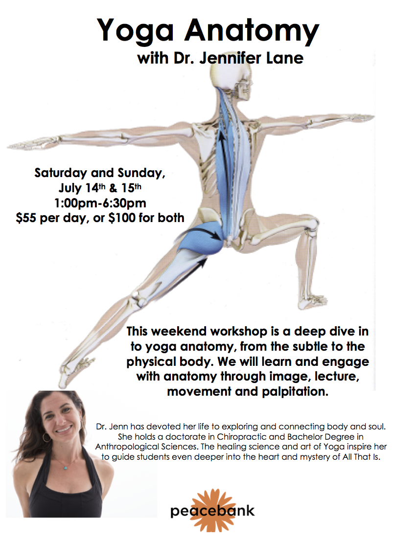 Yoga Anatomy July 2018 updated.png