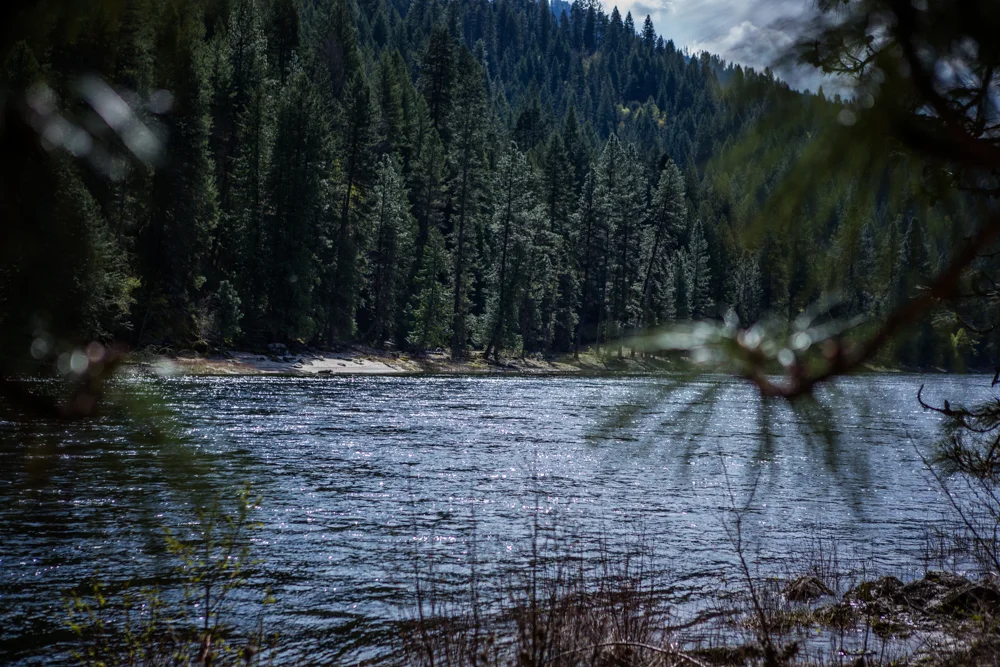clearwater river