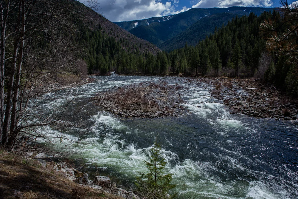 clearwater river